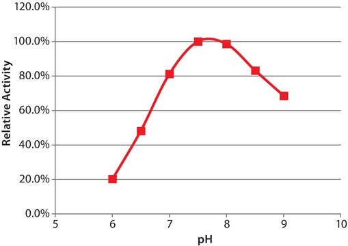 胆碱氧化酶 来源于节杆菌 属 recombinant, expressed in E. coli &#8805;12 units/mg protein