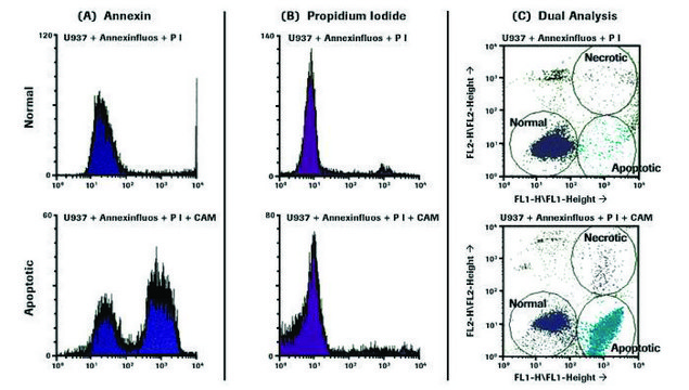 Annexin-V-FLUOS Staining Kit sufficient for 50&#160;tests (11858777001), sufficient for 250&#160;tests (11988549001), kit of 1 (3 components), suitable for cell analysis