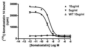 ChemiSCREEN Membrane Preparation Recombinant Human sst5 Somatostatin Receptor Human sst5 GPCR membrane preparation for Radioligand binding Assays &amp; GTPγS binding.