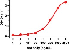 Anti-SARS-CoV-2 (COVID-19) NSP8 antibody produced in rabbit affinity isolated antibody