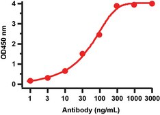 Anti-SARS-CoV-2 (COVID-19) NSP13 (Helicase) antibody produced in rabbit affinity isolated antibody