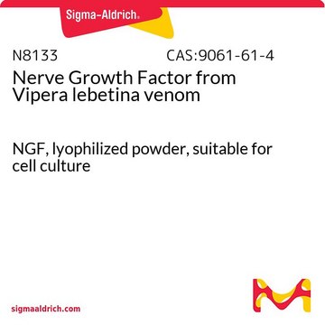 Nerve Growth Factor from Vipera lebetina venom NGF, lyophilized powder, suitable for cell culture