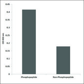 Anti-phospho-CD3 ζ (pTyr142) antibody produced in rabbit affinity isolated antibody