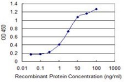Monoclonal Anti-FBXO11, (C-terminal) antibody produced in mouse clone 1A2, purified immunoglobulin, buffered aqueous solution