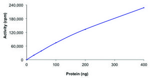 RIPK3, active, GST tagged human PRECISIO®, recombinant, expressed in baculovirus infected Sf9 cells, ≥70% (SDS-PAGE), buffered aqueous glycerol solution