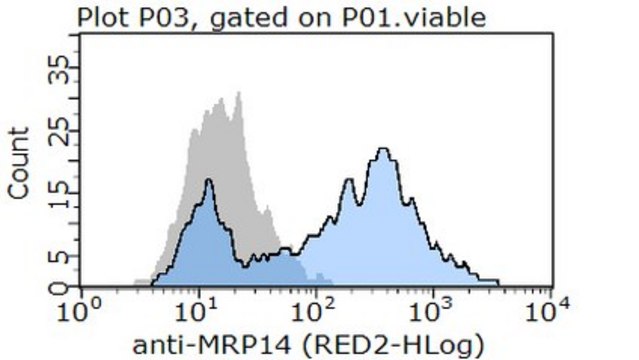 Anti-S100A9/MRP14 Antibody, clone 17 clone 17, from mouse