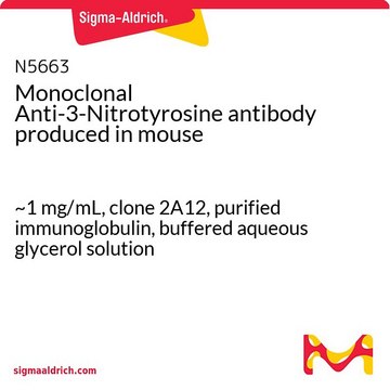 单克隆抗-3-硝基酪氨酸 小鼠抗 ~1&#160;mg/mL, clone 2A12, purified immunoglobulin, buffered aqueous glycerol solution