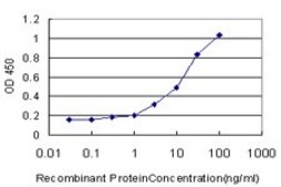 Monoclonal Anti-AZIN1 antibody produced in mouse clone 8B9, purified immunoglobulin, buffered aqueous solution