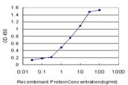 Monoclonal Anti-CRYGD antibody produced in mouse clone 4E12, purified immunoglobulin, buffered aqueous solution