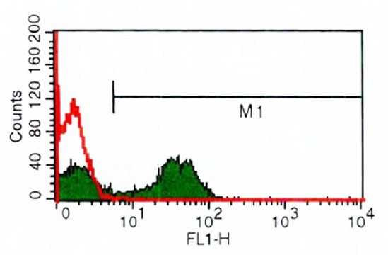 Anti-CD28 antibody, Mouse monoclonal clone CD28.2, purified from hybridoma cell culture