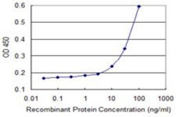 Monoclonal Anti-TRIM31 antibody produced in mouse clone 2G11, purified immunoglobulin, buffered aqueous solution