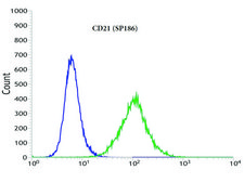 Anti-CD21 antibody, Rabbit monoclonal clone SP186, recombinant, expressed in proprietary host, affinity isolated antibody