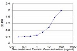 Monoclonal Anti-USP9Y antibody produced in mouse clone 2D3, purified immunoglobulin, buffered aqueous solution