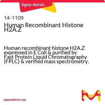 Human Recombinant Histone H2A.Z Human recombinant histone H2A.Z expressed in E Coli &amp; purified by Fast Protein Liquid Chromatography (FPLC) &amp; verified mass spectrometry.