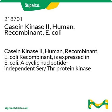 Casein Kinase II, Human, Recombinant, E. coli Casein Kinase II, Human, Recombinant, E. coli Recombinant, is expressed in E. coli. A cyclic nucleotide-independent Ser/Thr protein kinase composed of catalytic &#945;-subunits and regulatory &#946;-subunits.