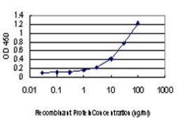 Monoclonal Anti-COG6 antibody produced in mouse clone 5B5, purified immunoglobulin, buffered aqueous solution