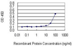 Monoclonal Anti-RPL17 antibody produced in mouse clone 3G11, purified immunoglobulin, buffered aqueous solution