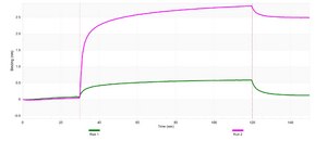Anti-SUCNR1/GPR91 Antibody, clone 1N21 ZooMAb® Rabbit Monoclonal recombinant, expressed in HEK 293 cells