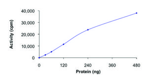 TLK1, active, GST tagged human PRECISIO® Kinase, recombinant, expressed in baculovirus infected Sf9 cells, ≥70% (SDS-PAGE), buffered aqueous glycerol solution