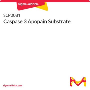 Caspase 3 Apopain Substrate