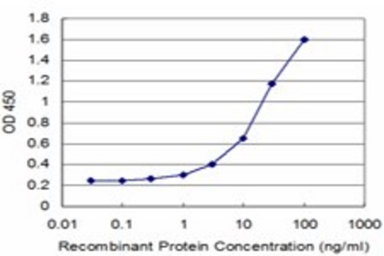 Monoclonal Anti-SPAG6 antibody produced in mouse clone 2F3, purified immunoglobulin, buffered aqueous solution