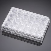 Corning® Primaria Cell Culture Plate size 24 well