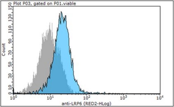 Anti-LRP6, clone A59, Ectodomain Antibody clone A59, from mouse