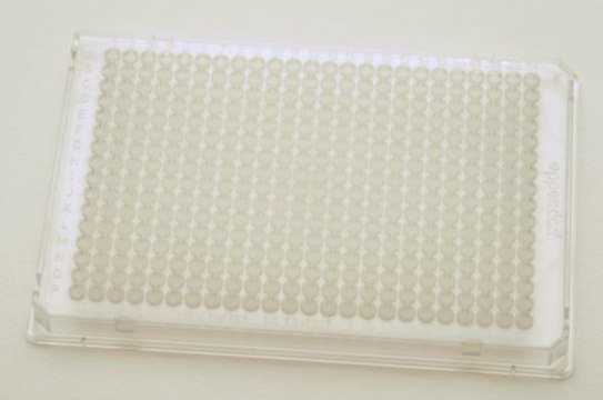 Eppendorf&#174; Twin tec PCR plates, 384 wells colorless plate, conical bottom colorless wells, pkg of 300&#160;ea