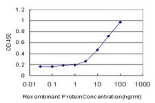 Monoclonal Anti-RPL32 antibody produced in mouse clone 1C3, purified immunoglobulin, buffered aqueous solution