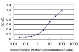 Monoclonal Anti-NGB antibody produced in mouse clone 1A11-A9, purified immunoglobulin, buffered aqueous solution