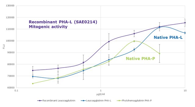 Leucoagglutinin from P. vulgaris, recombinant Expressed in P. pastoris, lyophilized powder, suitable for cell culture