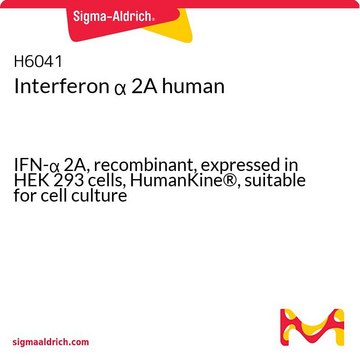 干扰素 &#945; 2A 人 IFN-&#945; 2A, recombinant, expressed in HEK 293 cells, HumanKine&#174;, suitable for cell culture