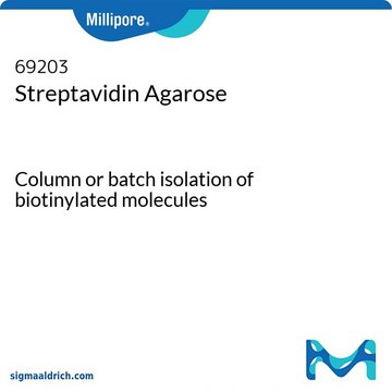 Streptavidin Agarose Column or batch isolation of biotinylated molecules