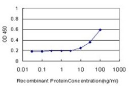 Monoclonal Anti-CDCA3 antibody produced in mouse clone 3B9, purified immunoglobulin, buffered aqueous solution