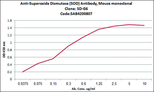 Anti-Superoxide Dismutase (SOD) antibody, Mouse monoclonal clone SD-G6, purified from hybridoma cell culture