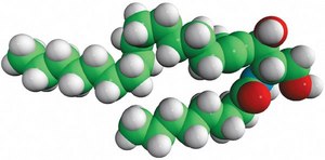 GT-11 N-[(1R,2S)-2-hydroxy-1-hydroxymethyl-2-(2-tridecyl-1-cyclopropenyl)ethyl]octanamide, powder