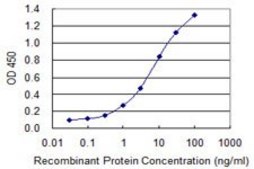 Monoclonal Anti-SERPINB1 antibody produced in mouse clone 4A7, purified immunoglobulin, buffered aqueous solution