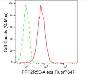 KD-Validated Anti PPP2R5E Antibody, clone 24GB1215, Rabbit Monoclonal clone 24GB1215, recombinant rabbit monoclonal, expressed in HEK293 cells