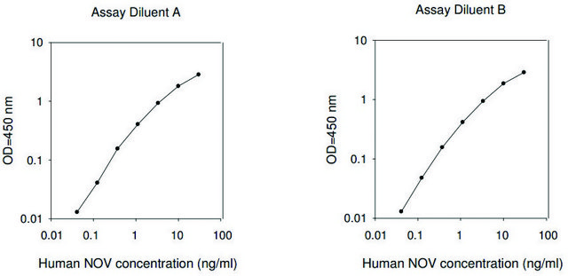 Human NOV / Protein NOV Homolog ELISA Kit for serum, plasma, cell culture supernatants and urine