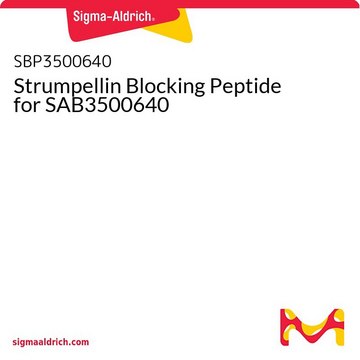 Strumpellin Blocking Peptide for SAB3500640