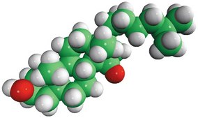 15-ketocholestane Avanti Research™ - A Croda Brand