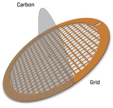 Carbon Film Supported Copper Hexagonal Mesh Grid grid size 200&#160;mesh, box of 50