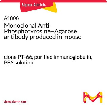 单克隆抗-磷酸酪氨酸 clone PT-66, purified immunoglobulin, PBS solution