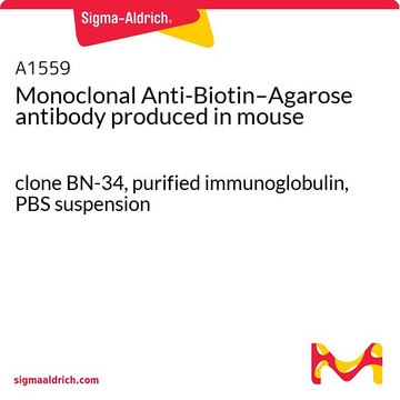 Monoclonal Anti-Biotin–Agarose antibody produced in mouse clone BN-34, purified immunoglobulin, PBS suspension