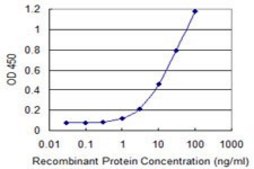 Monoclonal Anti-RGL1 antibody produced in mouse clone 3E10, purified immunoglobulin, buffered aqueous solution