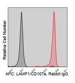 Anti-Human LAMP-1/CD107a (2E9) ColorWheel® Dye-Ready mAb