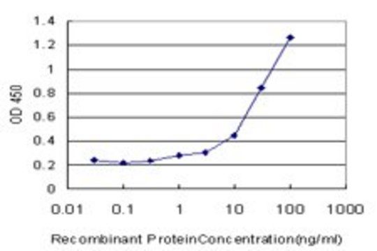 Monoclonal Anti-RHOH antibody produced in mouse clone 3D3, purified immunoglobulin, buffered aqueous solution