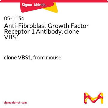 Anti-Fibroblast Growth Factor Receptor 1 Antibody, clone VBS1 clone VBS1, from mouse