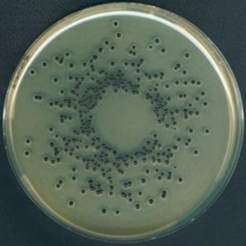 Egg yolk Tellurite Emulsion suitable for microbiology