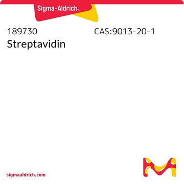 Streptavidin